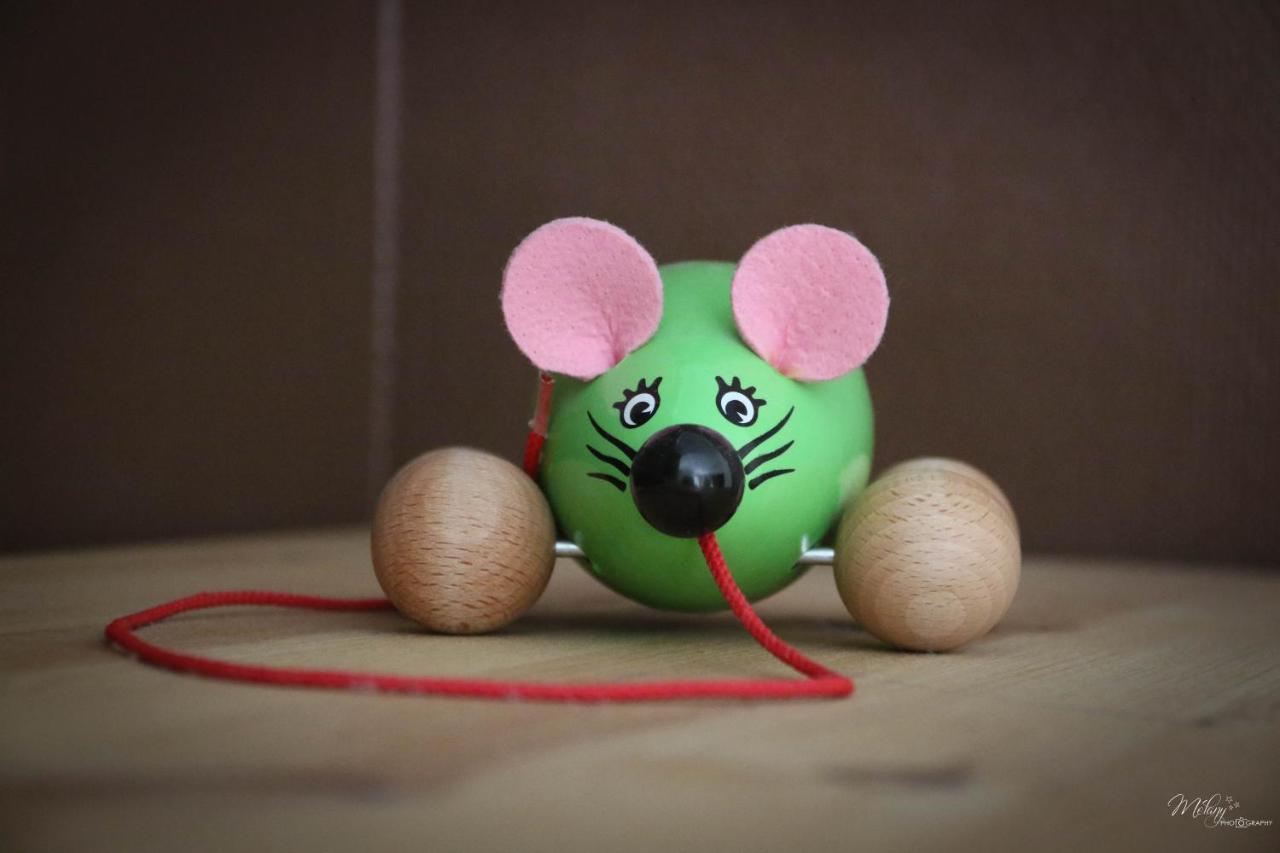 Gite De La Souris Verte Molamboz Экстерьер фото